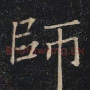 師