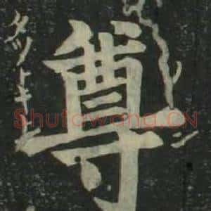 尊