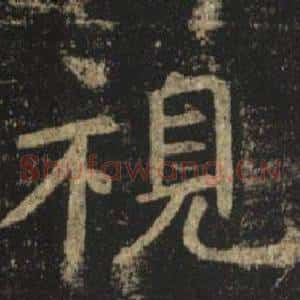 視