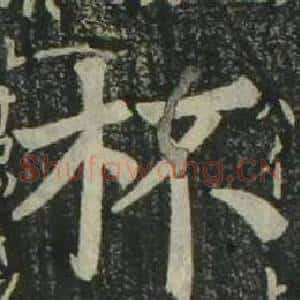 杯