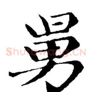 舅