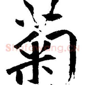 菊
