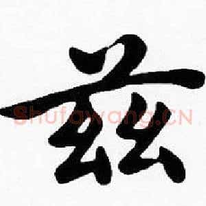 兹