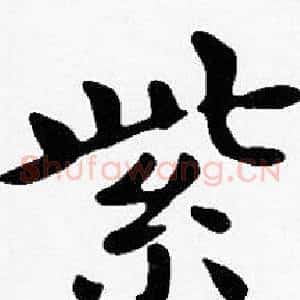紫