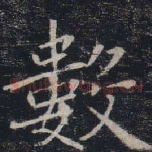 數