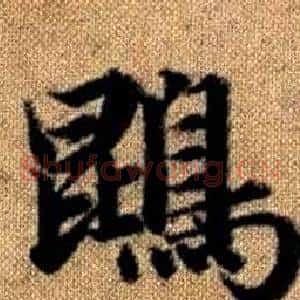 鵾