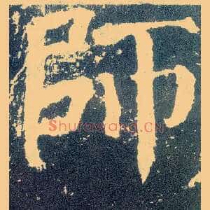师