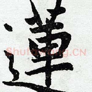 莲