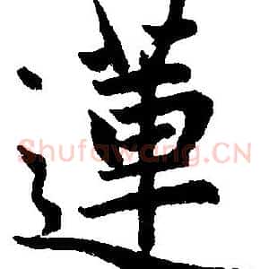 蓮