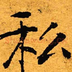 私