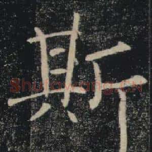 斯