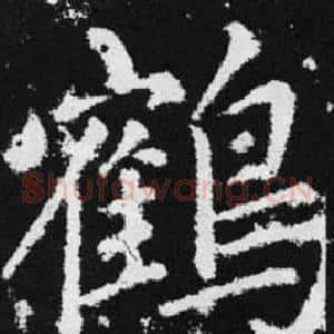 鹤