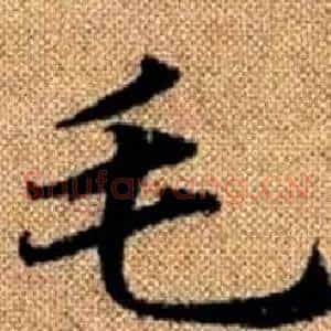 毛
