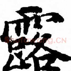 露