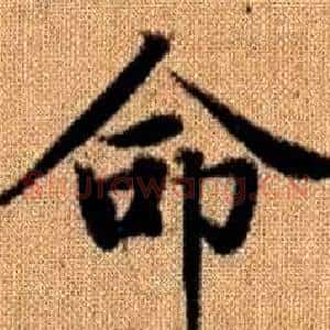 命