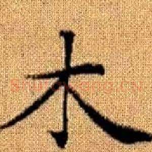 木