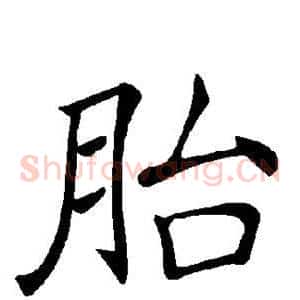 胎