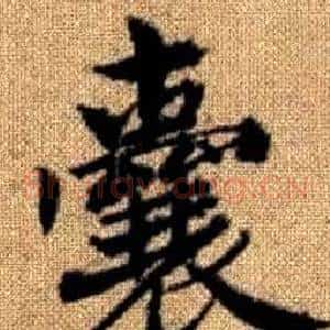 囊