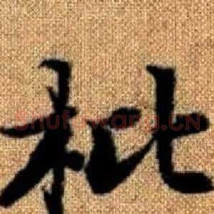 枇
