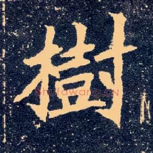 树