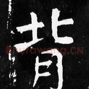 背
