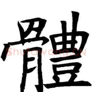 体