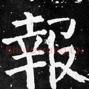 報