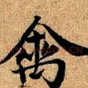 禽