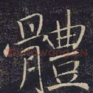 體