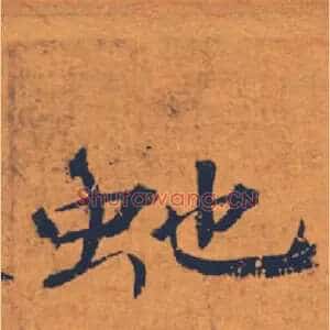 虵