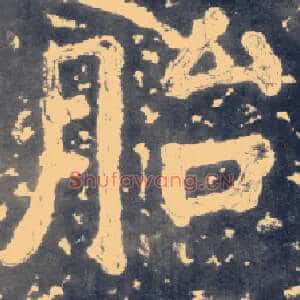 胎