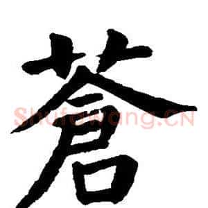 苍