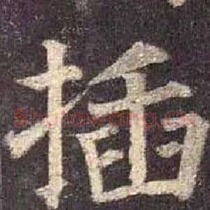 插