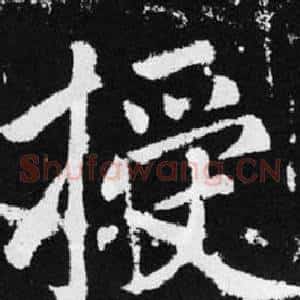 授