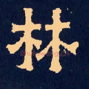 林