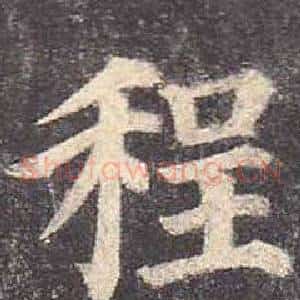 程