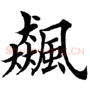 飙