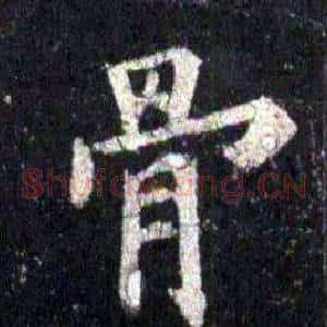 骨