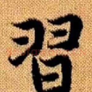 習