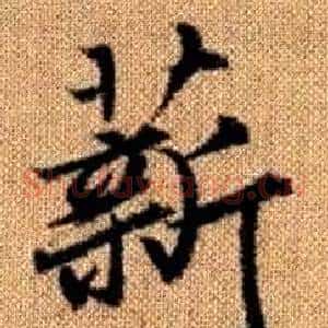 薪