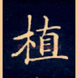 植