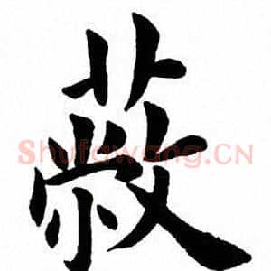 蔽