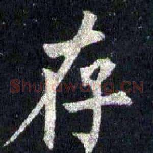 存