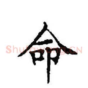命