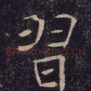 習