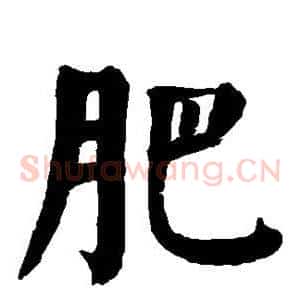 肥