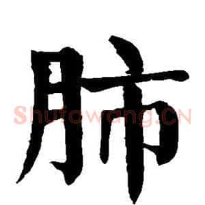 肺