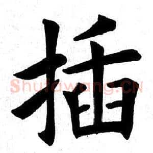 插