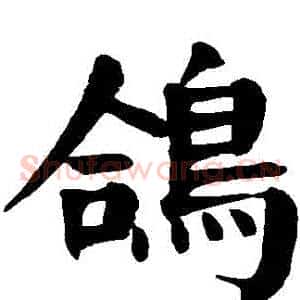 鴿