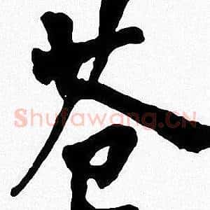 苍